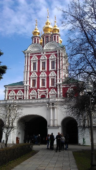 Шандицева Ольга. Новодевичий монастырь