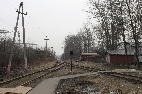 Шандицева Ольга. Развилка